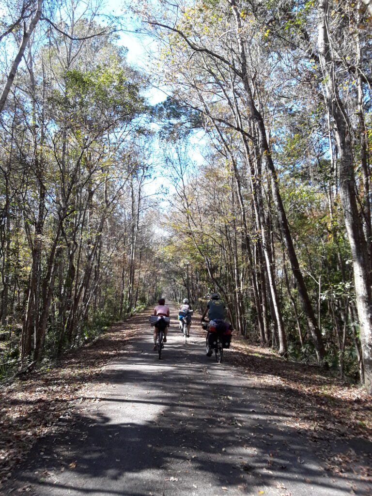 Biking across the state of Florida along the coast to coast trail. Trees enveloping the trail. 