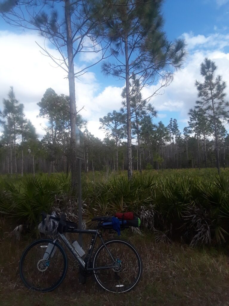 Biking across the state of Florida along the coast to coast trail. Lot's of salt palmetto trees and open fields. 