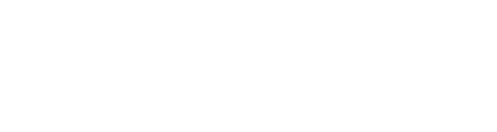 Bon Secours Sisters of Bon Secours, USA logo. 